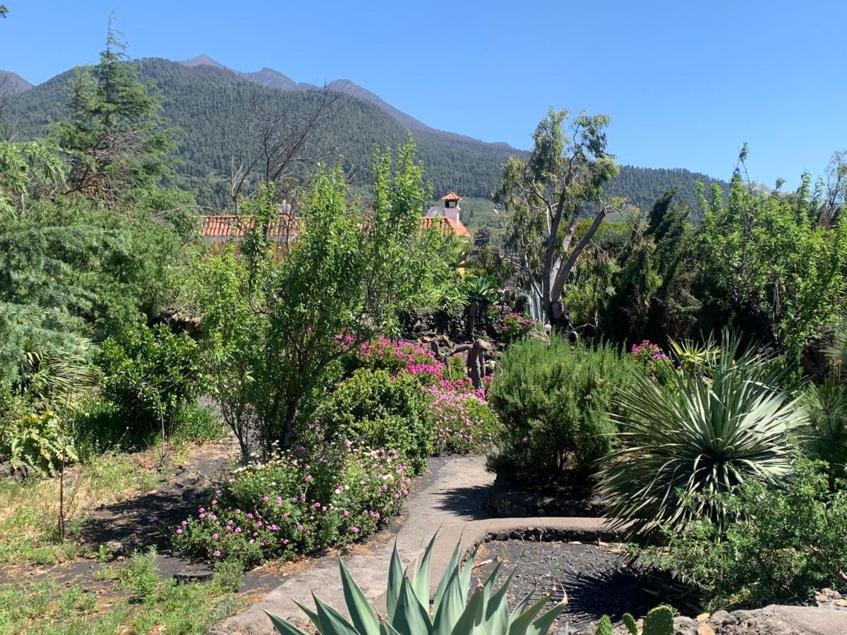 Casa Piedras Blancas With Private Garden Villa Ел Пасо Екстериор снимка