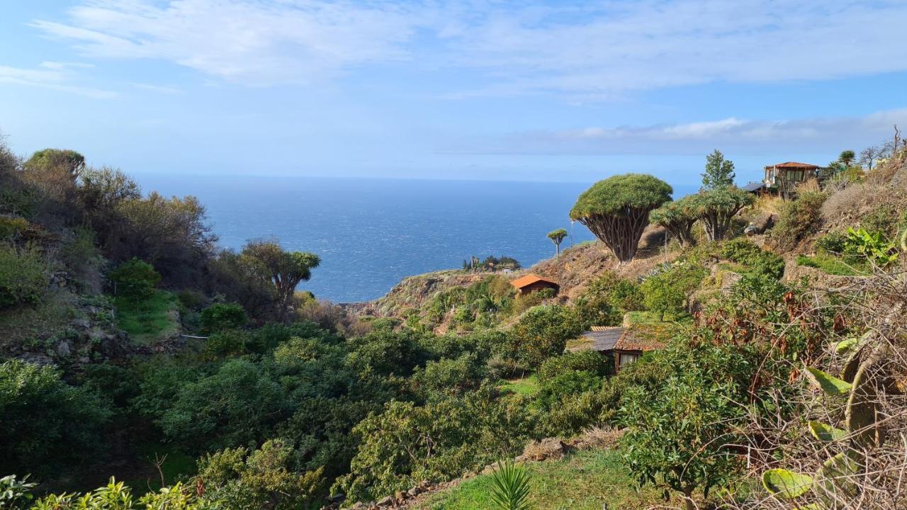 Casa Piedras Blancas With Private Garden Villa Ел Пасо Екстериор снимка